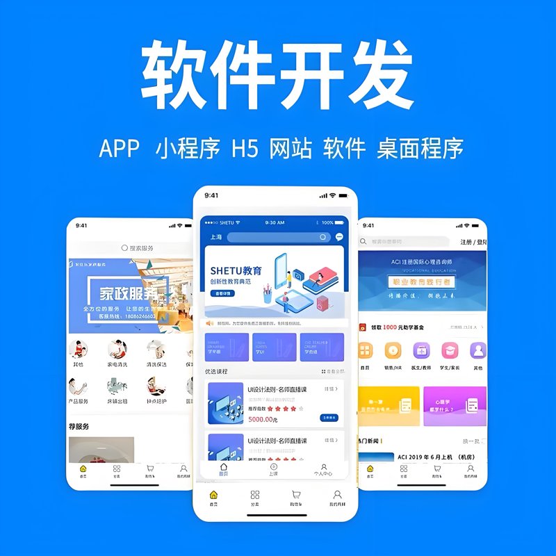 软件定制开发:打造企业专属利器