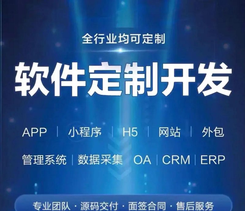 上海软件开发行业的最新趋势与发展